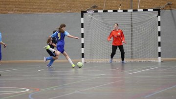 Bild 5 - Videos